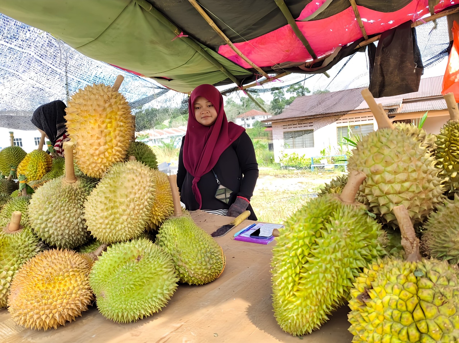 DURIAN KAMPUNG DAMAK