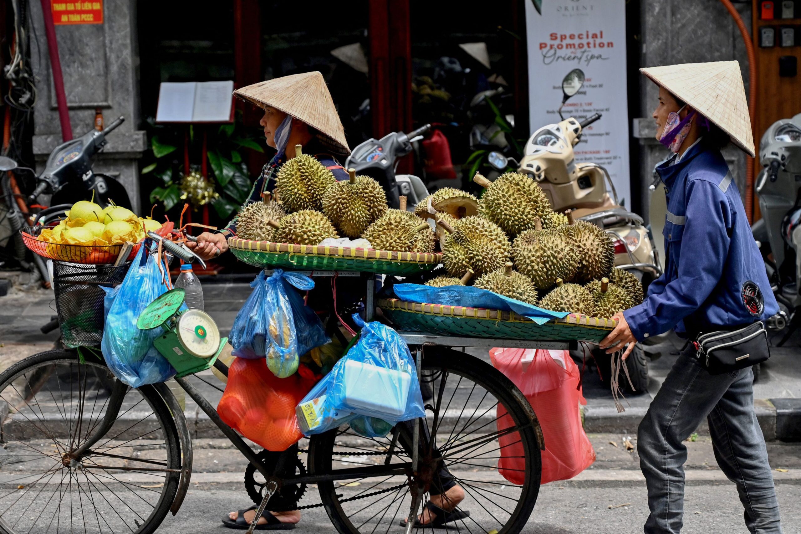 Geli durian22 scaled