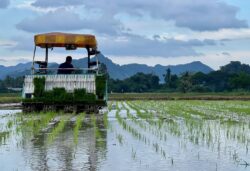 ‘Kerajaan terbuka, hak pesawah serah memorandum’ – Mohamad