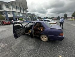 Dua lelaki ditahan miliki peluru, curi kelapa sawit