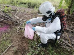 Sembilan pekerja ladang terhidu racun serangga