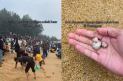 [VIDEO] Pesta kutip kerang sampai sesak pantai di Dungun