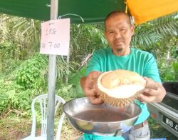 Durian kampung RM7 sekilo, murah-murah isi tebal