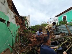 Keluarga pelancong China maut dihempap pokok tuntut saman RM1.7 juta