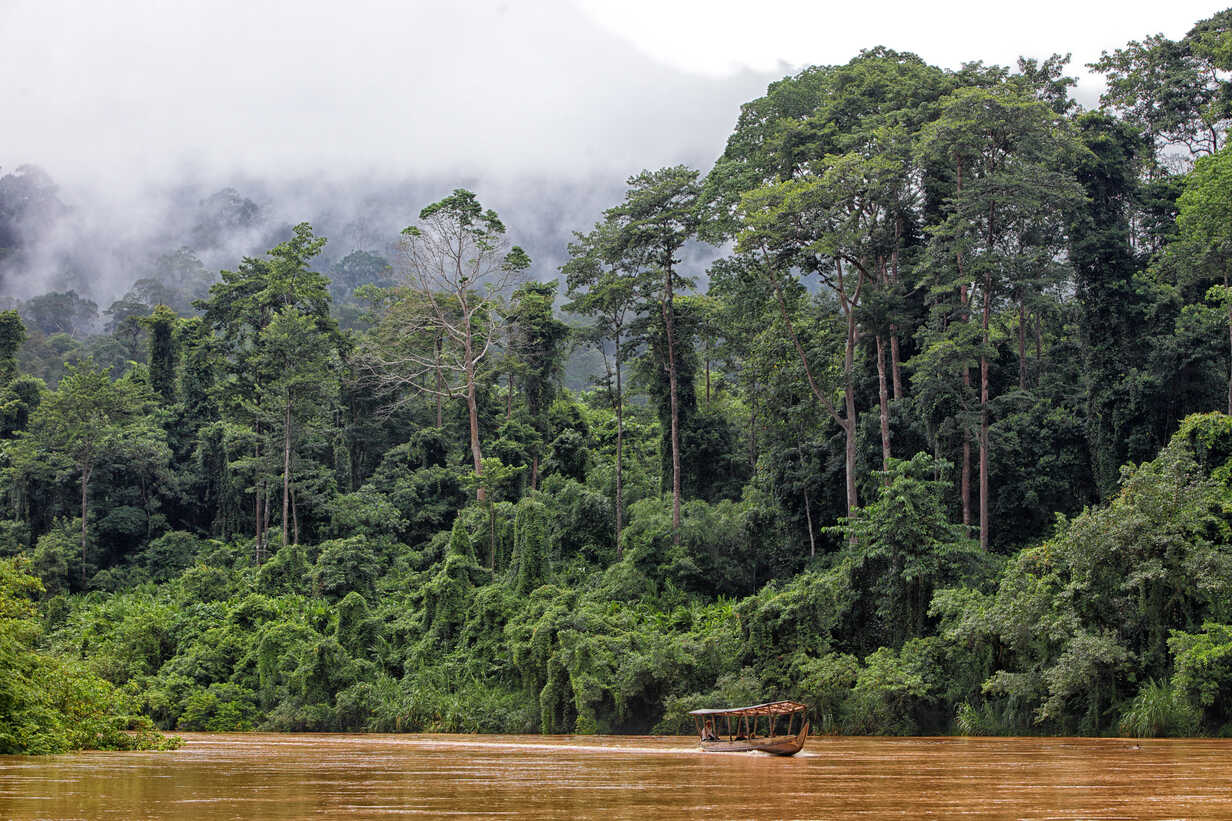 Interaksi dengan alam di Taman Negara