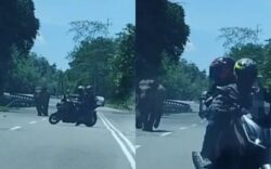 [VIDEO] ‘Woi, tunggu bagi dia masuk dulu’