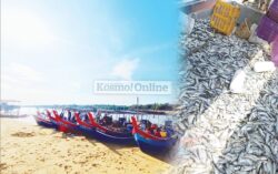 Nelayan geleng kepala harga ikan kembung