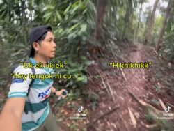 [VIDEO] ‘Nenek siapa gelak kuat dalam hutan’