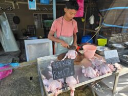 Harga ayam naik 4 kali sejak Januari