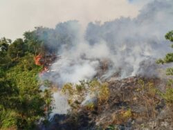 14 lokasi panas kebakaran terbuka di Johor