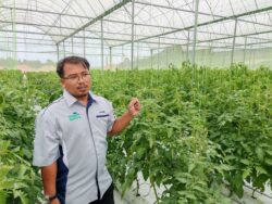 Veggie Nature mahu kuasai pasaran sayur organik